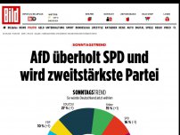 Bild zum Artikel: Sonntagstrend - AfD überholt SPD und wird zweitstärkste Partei