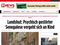 Bild zum Artikel: Straftaten von schizophrenen Flüchtlingen und Migranten häufen sich Landshut: Psychisch gestörter Senegalese vergeht sich an Kind