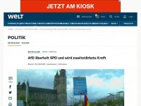 Bild zum Artikel: AfD überholt SPD und wird zweitstärkste Kraft 