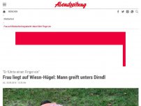 Bild zum Artikel: 'Er führte einen Finger ein': Frau liegt auf Wiesn-Hügel: Mann greift unters Dirndl