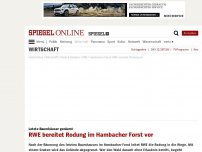 Bild zum Artikel: Letzte Baumhäuser geräumt: RWE bereitet Rodung im Hambacher Forst vor