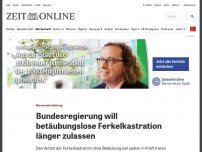 Bild zum Artikel: Massentierhaltung: Bundesregierung will betäubungslose Ferkelkastration länger zulassen