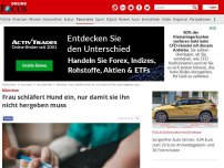 Bild zum Artikel: Eiskalte Entscheidung - Aus purem Egoismus: Frau lässt ihren kerngesunden Hund (5) einschläfern