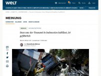 Bild zum Artikel: Dass uns der Tsunami in Indonesien kaltlässt, ist gefährlich