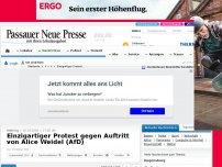 Bild zum Artikel: Amberg: Einzigartiger Protest gegen Alice Weidel (AfD) Auftritt