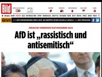 Bild zum Artikel: Jüdische Verbände auf Distanz - AfD ist „rassistisch und antisemitisch“
