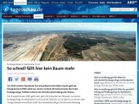 Bild zum Artikel: Rodungsstopp: RWE verliert Geld - Politiker sehen Chance