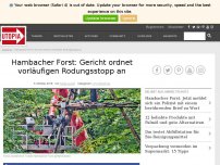 Bild zum Artikel: Hambacher Forst: Gericht ordnet vorläufigen Rodungsstopp an