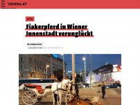 Bild zum Artikel: Fiakerpferd in Wiener Innenstadt verunglückt