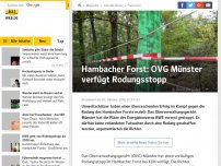 Bild zum Artikel: OVG Münster verfügt Rodungsstopp im Hambacher Wald