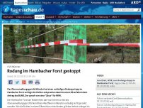 Bild zum Artikel: OVG Münster stoppt vorerst Rodung im Hambacher Forst