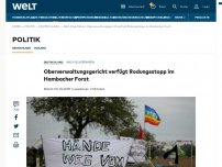 Bild zum Artikel: Oberverwaltungsgericht verfügt Rodungsstopp im Hambacher Forst