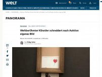 Bild zum Artikel: Weltberühmter Künstler schreddert nach Auktion eigenes Bild