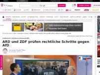 Bild zum Artikel: ZDF und ARD prüfen rechtliche Schritte gegen AfD