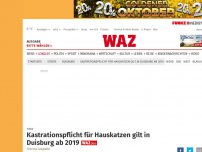 Bild zum Artikel: Tiere: Kastrationspflicht für Hauskatzen gilt in Duisburg ab 2019