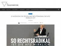 Bild zum Artikel: 21 Aussagen, die zeigen, wie rechtsradikal die AfD wirklich ist