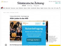 Bild zum Artikel: Neue Gruppierung: Alibi-Juden in der AfD