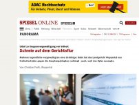 Bild zum Artikel: Urteil zu Gruppenvergewaltigung von Velbert: Schreie auf dem Gerichtsflur