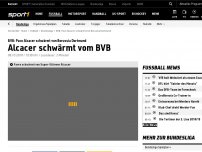 Bild zum Artikel: Alcacer schwärmt vom BVB