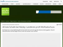 Bild zum Artikel: 40 tote Schafe nach Wolfsangriff bei Niesky