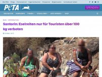 Bild zum Artikel: Santorin: Eselreiten lediglich für Übergewichtige verboten