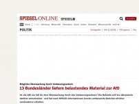 Bild zum Artikel: Mögliche Überwachung durch Verfassungsschutz: 13 Bundesländer liefern belastendes Material zur AfD