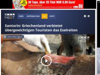 Bild zum Artikel: Santorin: Griechenland verbietet übergewichtigen Touristen das Eselreiten