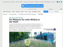 Bild zum Artikel: Deutschlandfunk | Forschung aktuell | Ein Plädoyer für mehr Wildnis in der Stadt