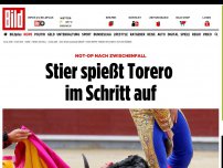 Bild zum Artikel: Das war gaaaanz knapp - Stier nimmt Torero im Schritt auf die Hörner