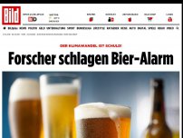 Bild zum Artikel: Forscher rechnen vor - Klimawandel macht das Bier teurer