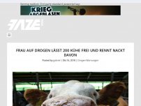 Bild zum Artikel: Frau auf Drogen lässt 200 Kühe frei und rennt nackt davon