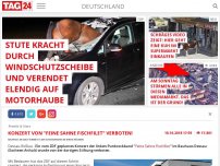 Bild zum Artikel: Konzert von 'Feine Sahne Fischfilet' verboten!