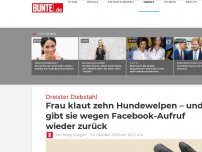 Bild zum Artikel: Frau klaut zehn Hundewelpen – und gibt sie wegen Facebook-Aufruf wieder zurück