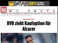 Bild zum Artikel: BARCA BESTÄTIGT - BVB zieht Kaufoption für Alcacer