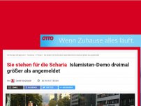 Bild zum Artikel: Sie stehen für die Scharia: Islamisten-Demo dreimal größer als angemeldet