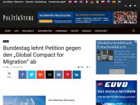 Bild zum Artikel: Bundestag lehnt Petition gegen den „Global Compact for Migration“ ab