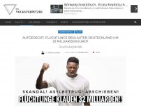 Bild zum Artikel: Aufgedeckt: Flüchtlinge beklauten Deutschland um 32 Milliarden Euro!!