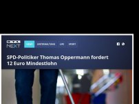 Bild zum Artikel: SPD-Politiker Thomas Oppermann fordert 12 Euro Mindestlohn