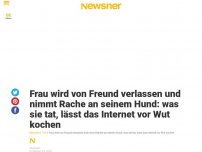 Bild zum Artikel: Frau wird von Freund verlassen und nimmt Rache an seinem Hund: was sie tat, lässt das Internet vor Wut kochen