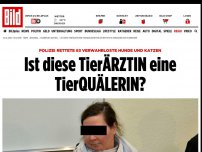 Bild zum Artikel: Polizei rettete verwahrloste Hunde und Katzen - Ist diese TierÄRZTIN eine TierQUÄLERIN?