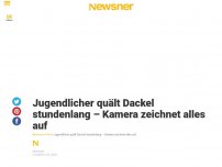 Bild zum Artikel: Jugendlicher quält Dackel stundenlang – Kamera zeichnet alles auf