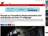 Bild zum Artikel: Skandal um Tierqualen in Bad Iburg: Rinderschlachthof wird nach stern TV Bericht stillgelegt