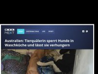 Bild zum Artikel: Australien: Tierquälerin sperrt Hunde in Waschküche und lässt sie verhungern