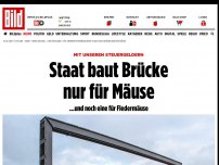 Bild zum Artikel: Mit unseren Steuergeldern - Staat baut Brücke nur für Mäuse