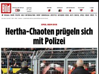 Bild zum Artikel: Spiel beim BVB - Hertha-Chaoten prügeln sich mit Polizei
