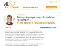 Bild zum Artikel: Buckleys trauriges Leben: An ein Labor 'gespendet'... - von Harald Ullmann