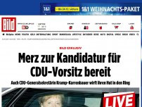 Bild zum Artikel: BILD EXKLUSIV - Merz zur Kandidatur für CDU-Vorsitz bereit