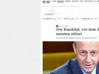Bild zum Artikel: Friedrich Merz: Der Kandidat, vor dem die AfD zittert