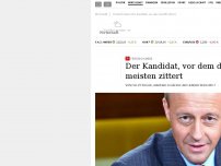 Bild zum Artikel: Friedrich Merz: Der Kandidat, vor dem die AfD zittert