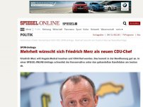 Bild zum Artikel: SPON-Umfrage: Mehrheit wünscht sich Friedrich Merz als neuen CDU-Chef